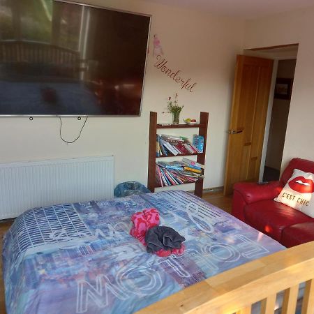No 9 Manor Way Appartement Carmarthen Buitenkant foto
